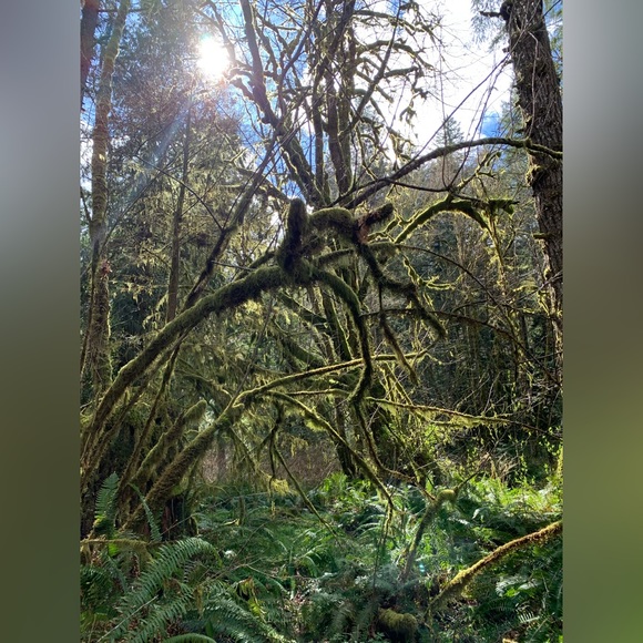 Meet the Posher - Picture 3 of 8